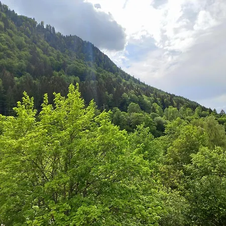 Aparte 3-zi-wohnung Im Oberallgaeu Direkt Am Berg! Apartment