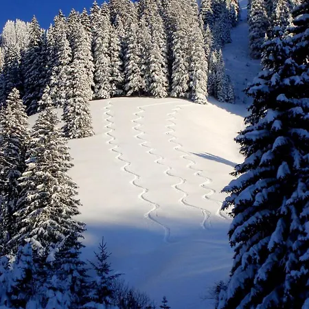 Aparte 3-zi-wohnung Im Oberallgaeu Direkt Am Berg! *