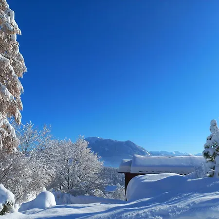 Aparte 3-zi-wohnung Im Oberallgaeu Direkt Am Berg! Apartment *