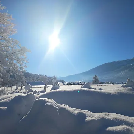 Apartment Aparte 3-zi-wohnung Im Oberallgaeu Direkt Am Berg! *