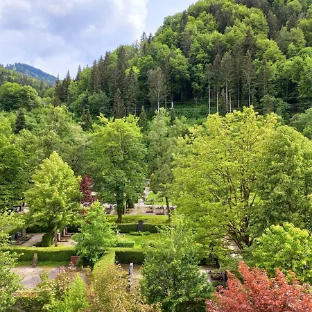 Aparte 3-zi-wohnung Im Oberallgaeu Direkt Am Berg! Apartment