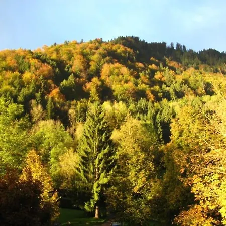 Aparte 3-zi-wohnung Im Oberallgaeu Direkt Am Berg!